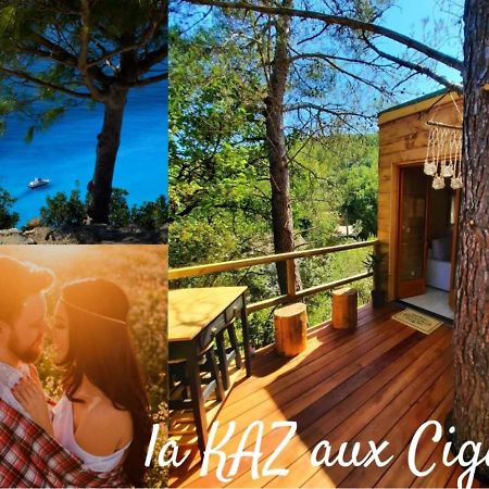 Cabane Dans Les Arbres "La Kaz Aux Cigales" Cuers Ngoại thất bức ảnh