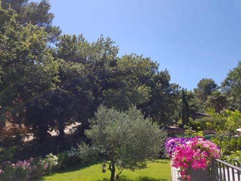 Cabane Dans Les Arbres "La Kaz Aux Cigales" Cuers Ngoại thất bức ảnh