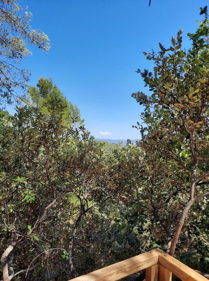 Cabane Dans Les Arbres "La Kaz Aux Cigales" Cuers Ngoại thất bức ảnh