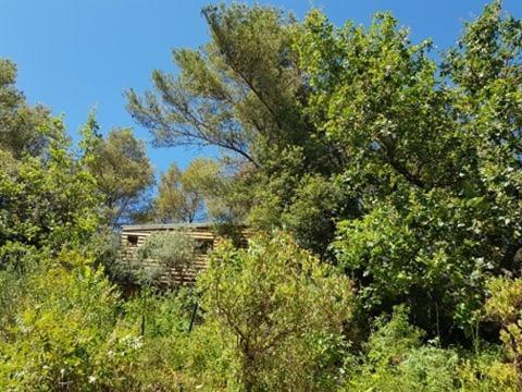 Cabane Dans Les Arbres "La Kaz Aux Cigales" Cuers Ngoại thất bức ảnh