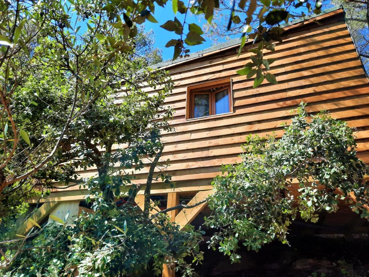 Cabane Dans Les Arbres "La Kaz Aux Cigales" Cuers Ngoại thất bức ảnh